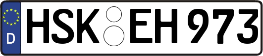 HSK-EH973