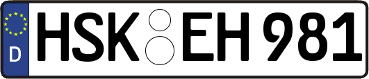 HSK-EH981