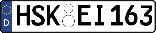 HSK-EI163