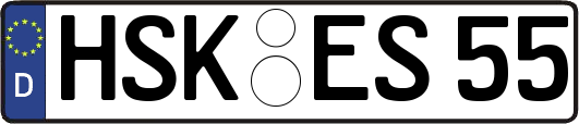 HSK-ES55