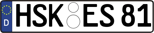 HSK-ES81