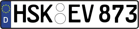 HSK-EV873