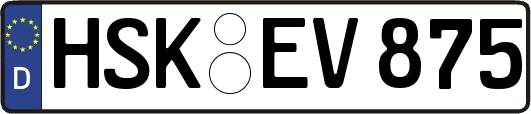HSK-EV875