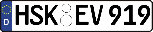 HSK-EV919