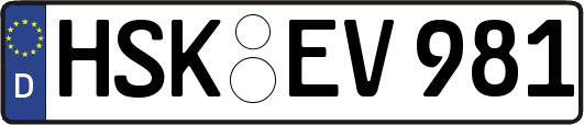 HSK-EV981