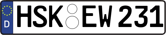 HSK-EW231