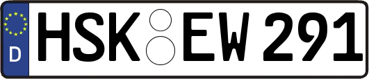 HSK-EW291