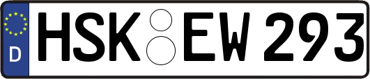 HSK-EW293