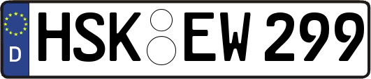 HSK-EW299