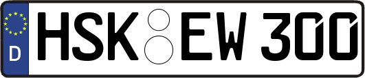 HSK-EW300
