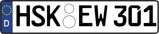 HSK-EW301