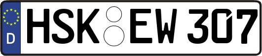 HSK-EW307