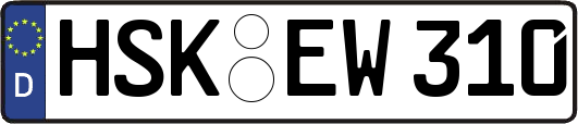 HSK-EW310