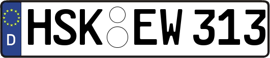 HSK-EW313