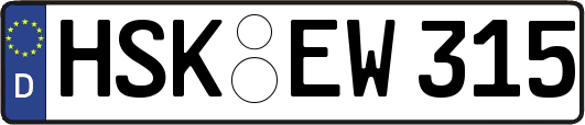 HSK-EW315