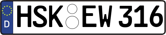 HSK-EW316