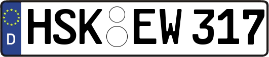 HSK-EW317