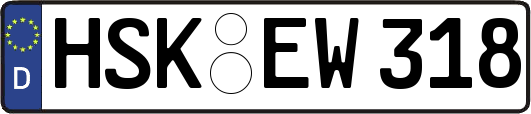 HSK-EW318