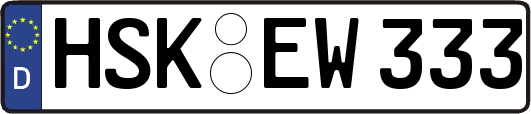 HSK-EW333