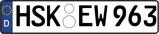 HSK-EW963