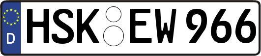 HSK-EW966