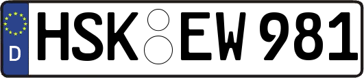 HSK-EW981