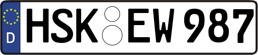 HSK-EW987
