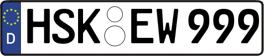 HSK-EW999