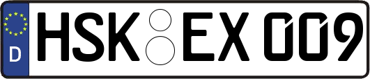 HSK-EX009
