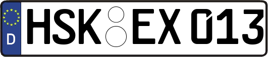 HSK-EX013