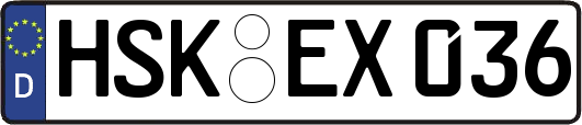HSK-EX036