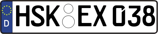 HSK-EX038