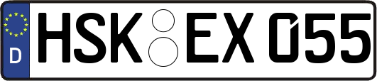 HSK-EX055
