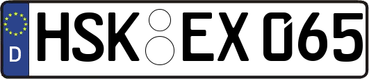 HSK-EX065