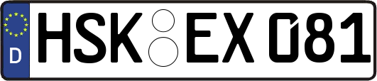 HSK-EX081