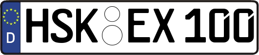 HSK-EX100