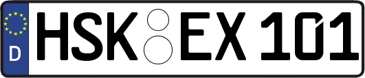 HSK-EX101