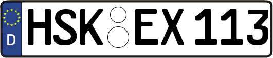 HSK-EX113