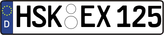 HSK-EX125