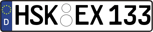 HSK-EX133