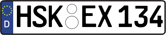 HSK-EX134