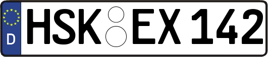 HSK-EX142
