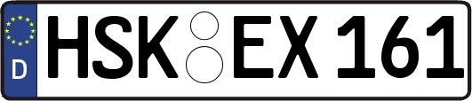 HSK-EX161