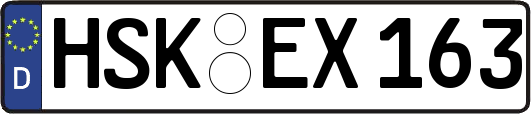 HSK-EX163