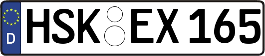 HSK-EX165