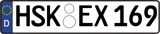 HSK-EX169