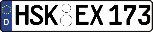 HSK-EX173