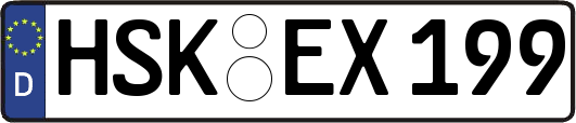 HSK-EX199