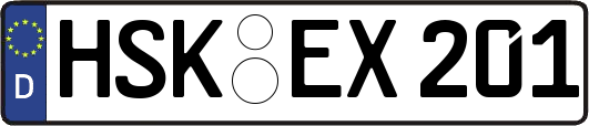 HSK-EX201