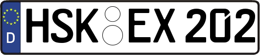 HSK-EX202